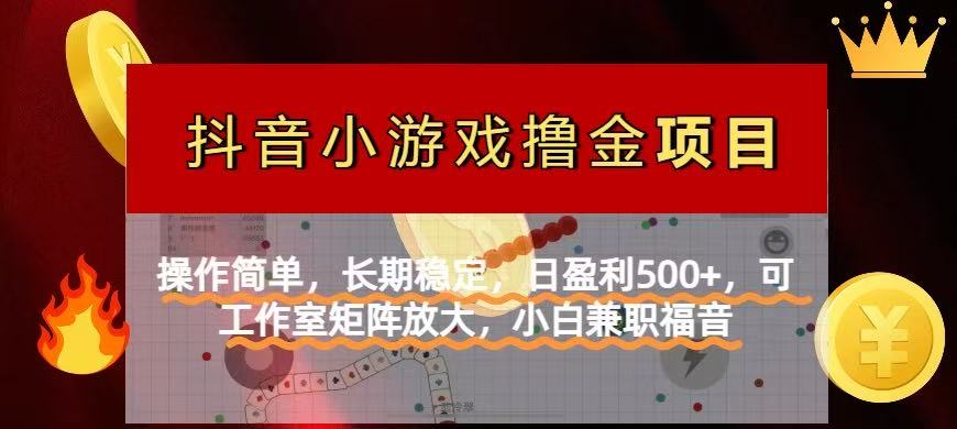 抖音小游戏发行人计划项目】操作简单，长期稳定，日盈利500+